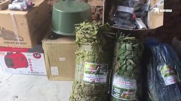 Директор магазина стала боевым санинструктором