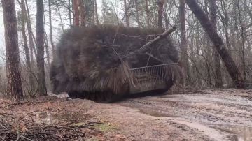 �-80�� �� �� � �������������� ��������������� �������