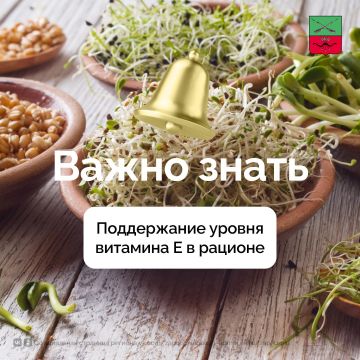 Важность витамина Е для нервной системы