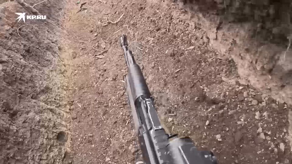 ������� ���������� �������, � ������ � �� ����������: ���������� ������� ������� ����� � ������ �� ���������