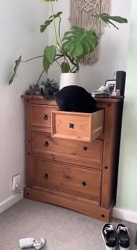 Новый рабочий день. Когда перед выходом ищешь парные носки