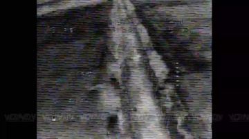 ����������� ������������� ������� ���������� ����������� ���� 36 ����������� ������� 29 ����� ����������� ����� "������"