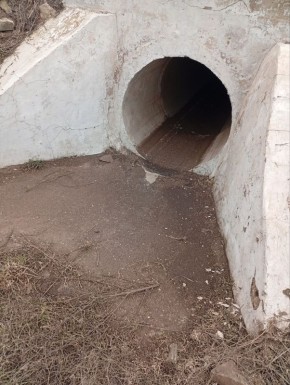 ГУП «УАЗО» продолжает работы по содержанию автомобильных дорог Запорожской области