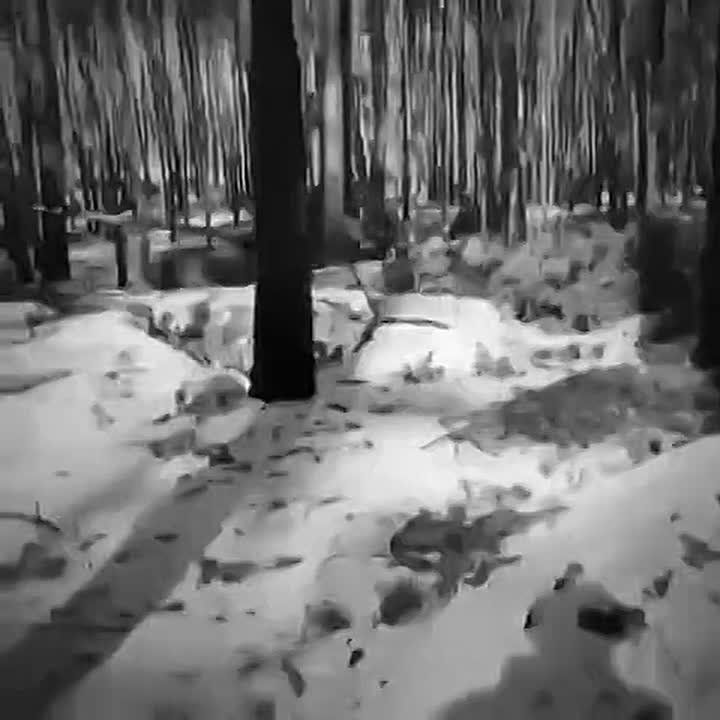 ������ ���� ��������, ����������� �������!