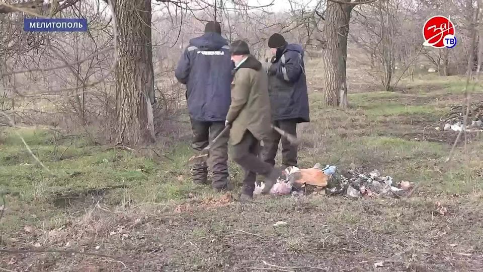 ������ ��������: ���������� �������� ������� �� ���������� ������