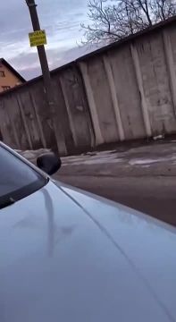 ���������� ���� ������� ����������� "���" � ��� "�������"