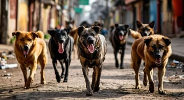 ���-��� ��� ����� ���������� � ������ ��������� �������� ��� ���������� ��������� � ����������� �������