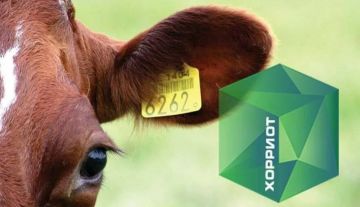 �����: ������� ����� ���� ������ƻ �������� ������� �� ������ � ����������� ��������������� �������������� ������� ��������