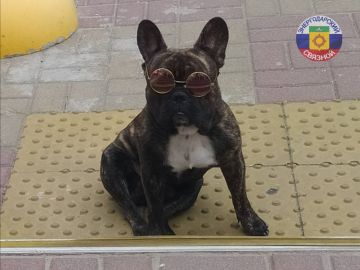 � ������ �����! ��������� ���!