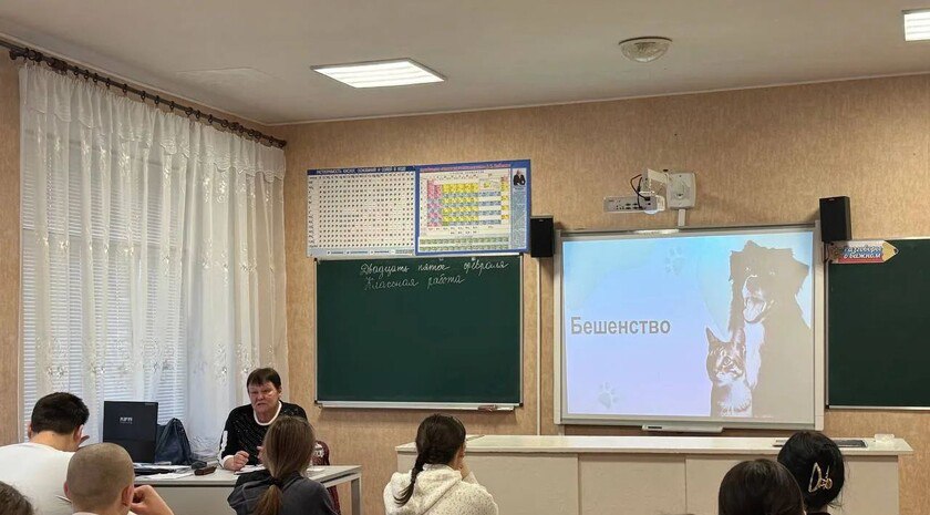 Школьникам в Запорожской области ветеринары рассказали об опасности бешенства