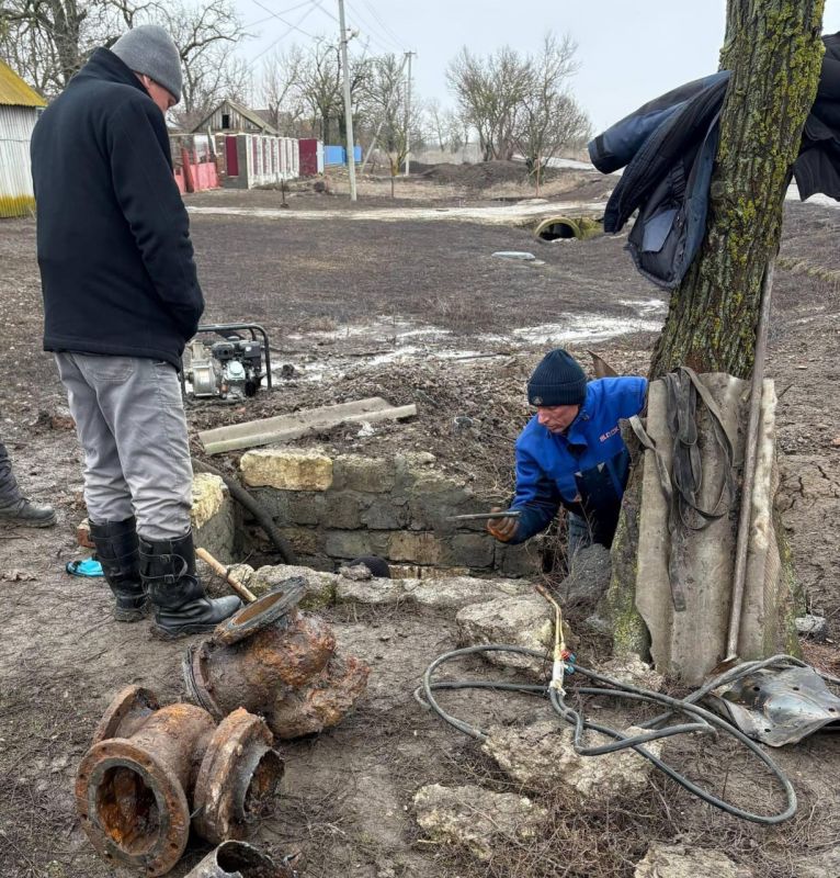 � ��������� � �������������� ������������ ������ ������ ������������