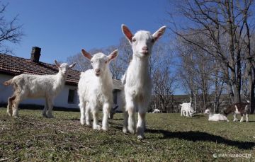 ������ �� ����� ����������� ������