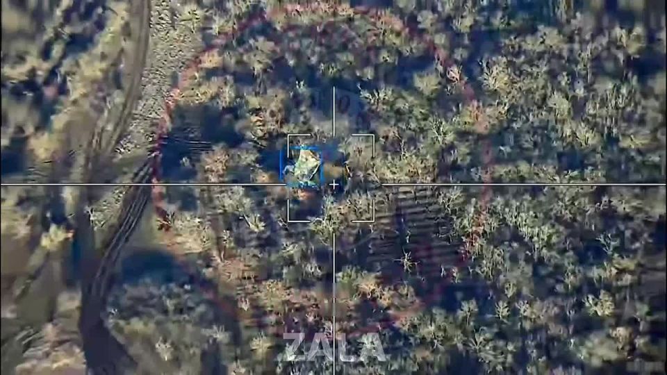 ����������� �����. ���������� �����������