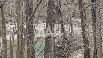 ��� ���������� �����.... ���� ��� �� � ���, � ���-�� � ���������� �������