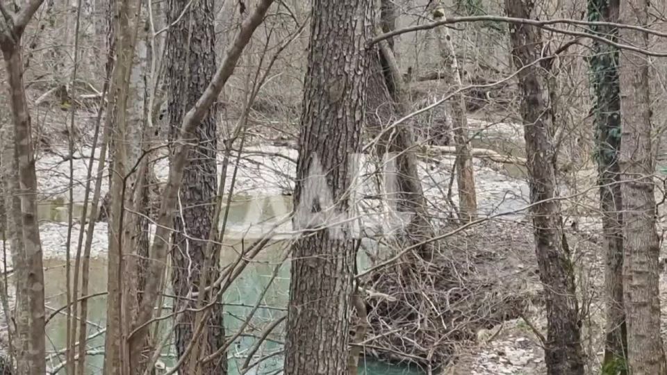 ��� ���������� �����.... ���� ��� �� � ���, � ���-�� � ���������� �������