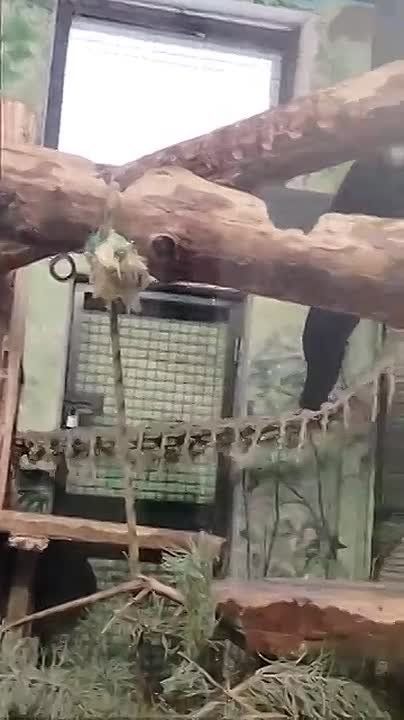 ��������� � ������� ������� �� ������� ��������