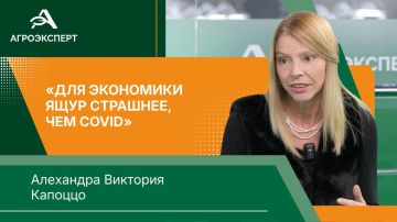 1234 ����� �����: ������� ���� ������ ������������� ����������