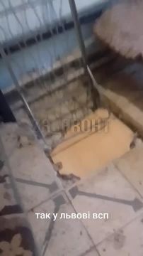 ���������� ���� ������� ����������� "���" � ��� "�������"