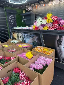 �������� � 8 ����� � ����� ��������!