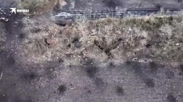 "� �� ������� ������� ���� ����� �����..."