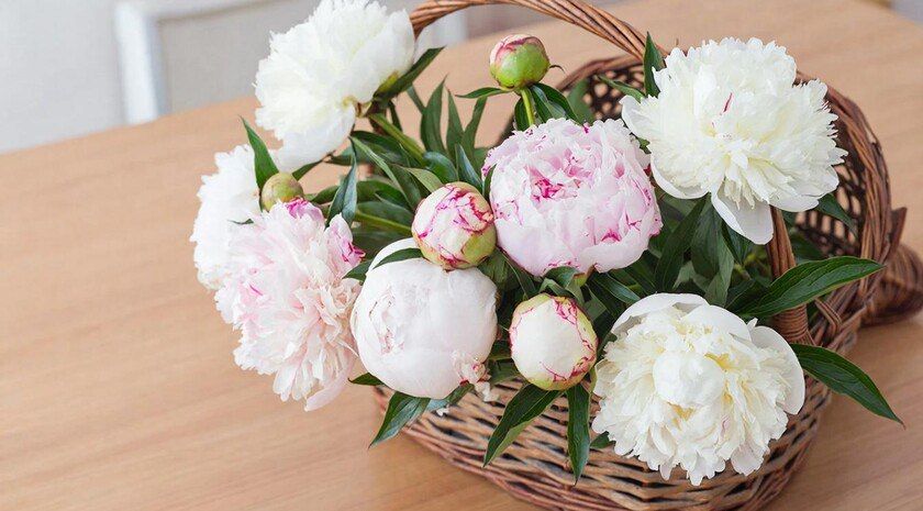 ������� ����������, ��� ��������� ��������� ����������� ����� ��� �������