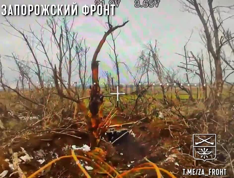 ����������� �����. ���������� ����������� ��������� "������" "������" 3-� ��������� ���� 291-�� ������������ ����� ���������� ��������� ��������� �������� ��������� �� ��������� � �.�. �������