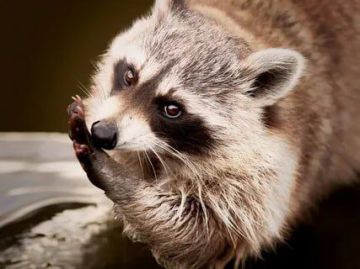 ������ ����, ������! �������� ��� ��� � ��������� ����������!