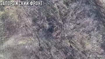 ����������� �����. ���������� ����������� �������� "������" 291 ��� ������ ���� ������ �����, ������ ��������� ������� ���������� �� ��������� � �.�. �������