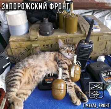 ���� ������� ���� � ������������ �����������