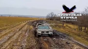 ����������� �����������. ����� �.�. ������