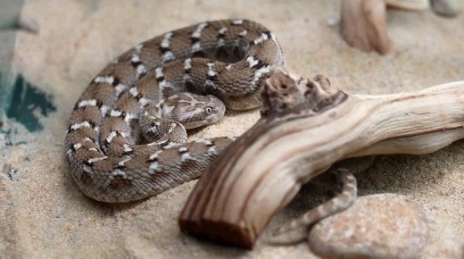 �� ����� � �������� ���. ��� ��������� ���� ��������, ����� ��������� � 8 �����