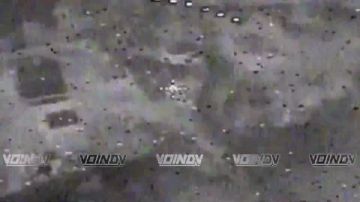 ������ ������ ���������� ���� 29 ����� ����������� ����� "������" �� ����������� ������� ����� ���������� �� ����������� �����������