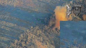 ������������ 50-�� ����������� �������� ��������� ������� ���������� �� ���������