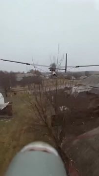 ����������� ������: ���������� ���� ���� ����������� ��� ���������� ������� ���� ����������������� ���������� ���������� ��� � ������ � ��������� ����������� ����������