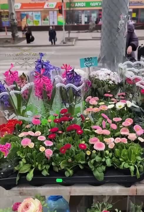 ����� ����� �������� � ���������