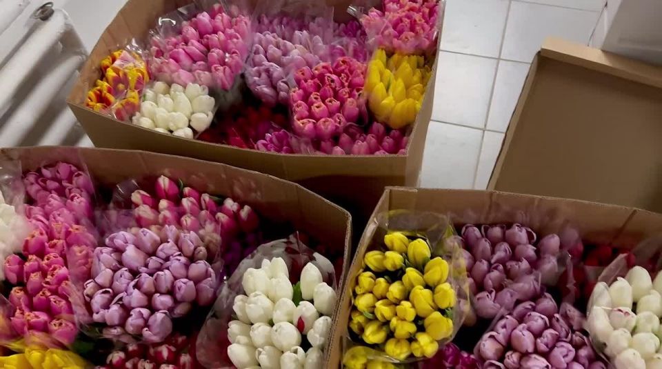 Забронируй букет тюльпанов заранее