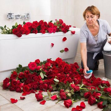 ��� �� �������������� 8 �����, ���� ������ �� ��������