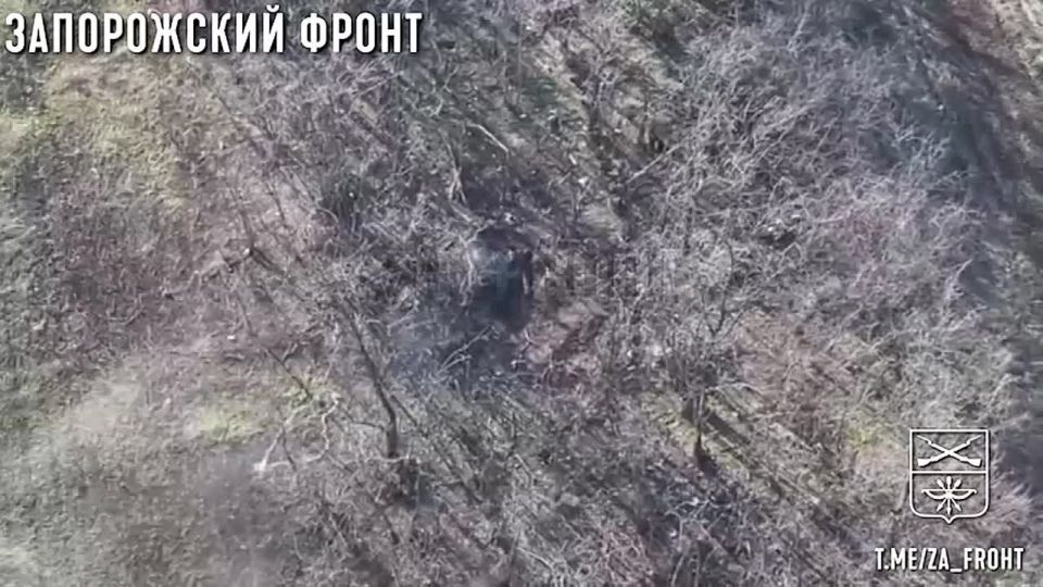 ����������� �����. ���������� �����������