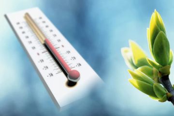 +16 �������� ��������� � ����������� ������� 10 �����