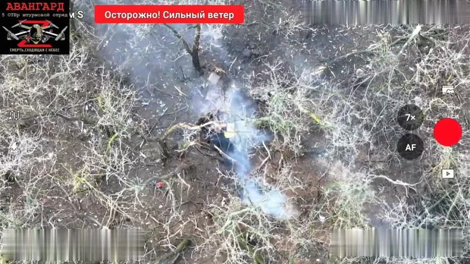 �������� ����������� ��������, ������� ������ "���������" 5 ��������� ����������� �������� ������� �� ������� �� ����������� �����������