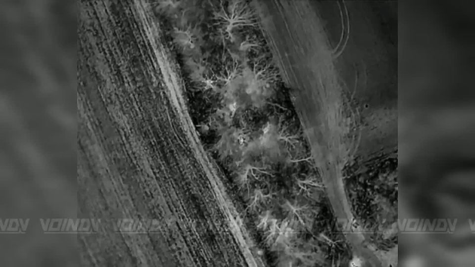 ��������� ���� 60 �������������� ������� 5 ����� ����������� ����� "������" �������� ���������� ������ ����������, ����������� �����������