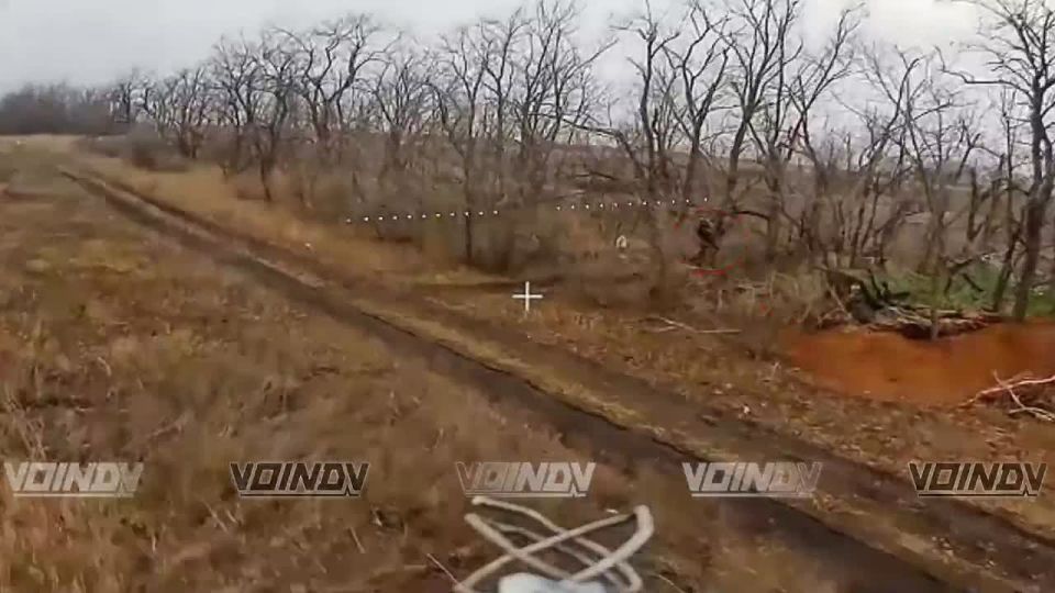 ���� ��������: ���������� � ���� ��������������� ����������� ����� "������" �� ��������� ����, ����������� @voin_dv