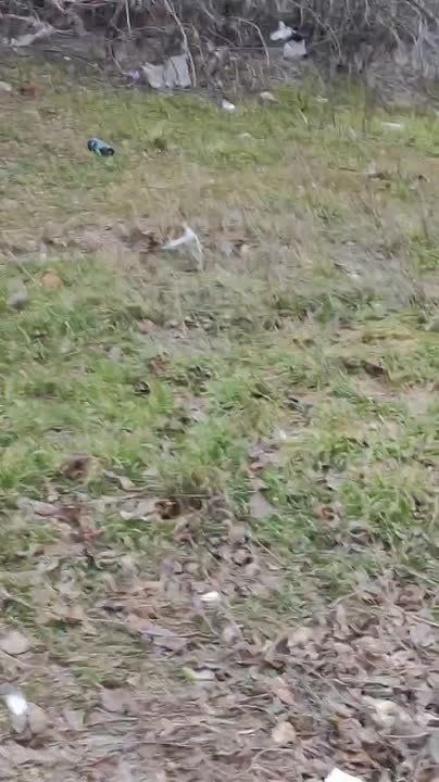 ������ ���������� ������������ �� ������ ������������ �����