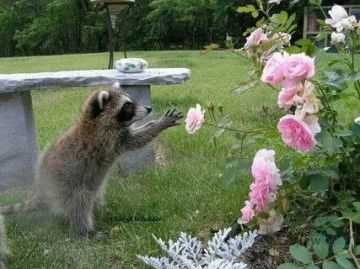 ������ ����, ������! �������� ��� ��� � ��������� ����������!