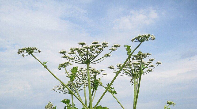 �����: �������� ������ �� �������� �� �������� �������� � ������ ����� ����