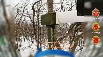 ������ �� ������. ��� ��������� ��������� � ������� �������-������������