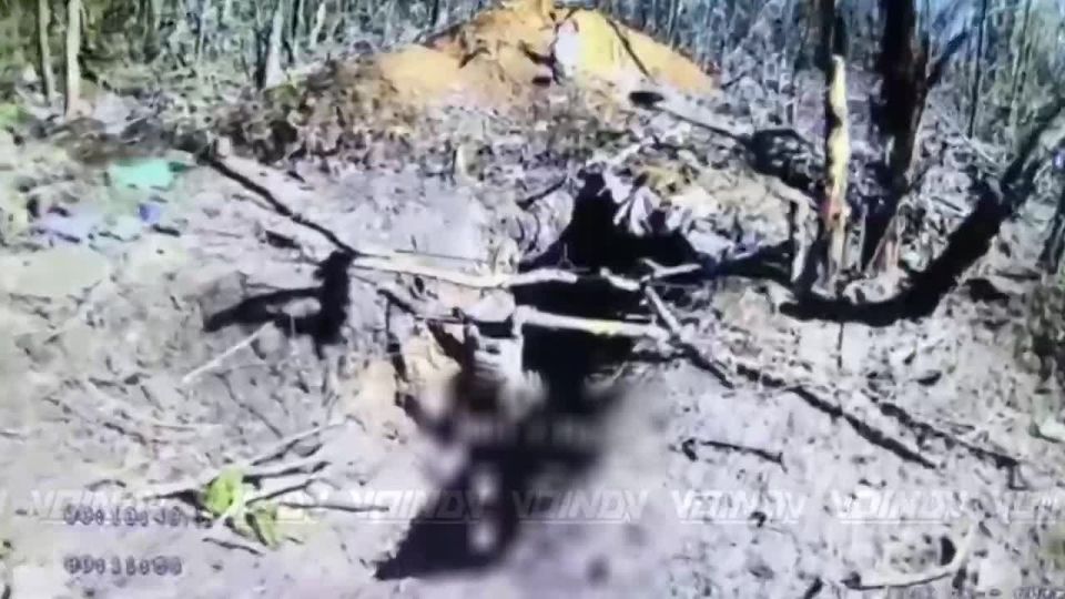 ���� ��������: ���������� � ���� ��������������� ����������� ����� "������" �� ��������� �����, ����������� @voin_dv