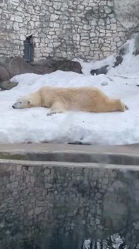 ���� �� ������ � ������� ������ �� ����������� �������� ���� ����� ��������, �� �� � ����