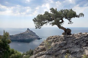 ��� ������ �� �������: ������� ������ ������������ �� ������ � ���� ������ �������� � ����������