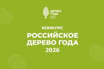 �������� ������������� ������� ����������� ������ ���� � 2026�